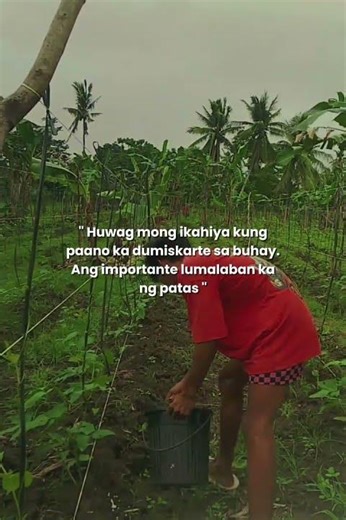 abuno ng sitawan🌱 #shorts #farming #subscribe