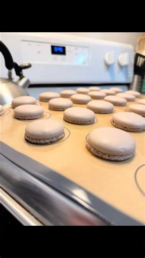 And my first successful batch with Swiss meringue 🥳 #macaron #meringue #homebaker #glutenfree