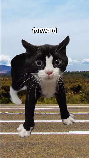 How to Walk Tutorial