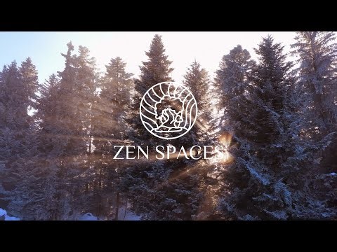 Winter Forest Scenery — Meditation Ambience | Zen Spaces
