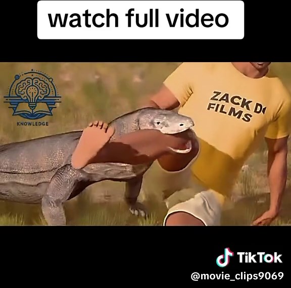 感染风险与伤口护理注意事项