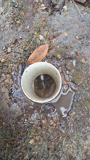 Tree roots, nom nom nom! | Plumbing By Tim