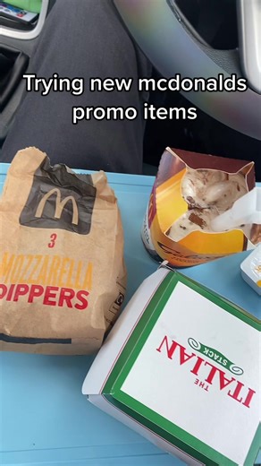Trying New McDonald's Promotional Menu Items in Car