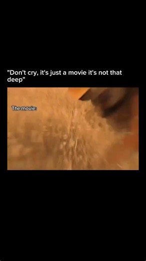 Recount History on Instagram: "Madagascar (2005), a family-friendly animated comedy, follows four pampered zoo animals from New York’s Central Park Zoo, a lion, zebra, giraffe, and hippo, who crave adventure beyond their city life. When Marty the zebra escapes to explore the wild, his friends follow, but a penguin mutiny reroutes them to Madagascar, where they must adapt to life outside captivity. Full of laugh-out-loud moments, heart, and chaos, the film shows how these unlikely friends navigat