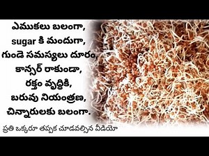 Healthy Sprouted Ragi Malt in telugu | Summer Special Ragi Java | How to make Ragi Ambali |