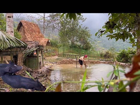 Video of 10 days living alone of an Asian girl who builds a farm with a dream house