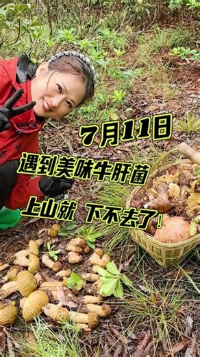 包山菌采蘑菇有那么好吗？今天遇到菌窝，上山就下不去了！ 暑期就来山里，沉浸式捡菌子！#采菌日记 #菌子的季节 #包山菌 #亲子采蘑菇 #捡菌子