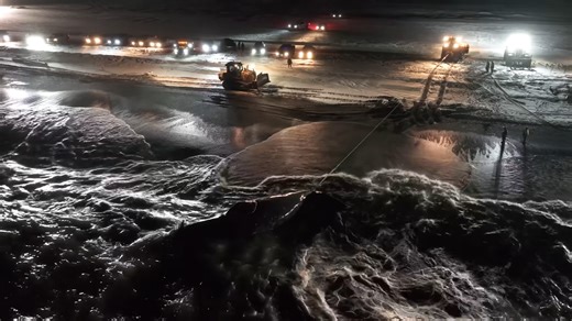 This is America’s most isolated town - then a 52-foot whale arrived