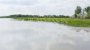 50K views · 73 reactions | Our new 115-mm objective module is now...