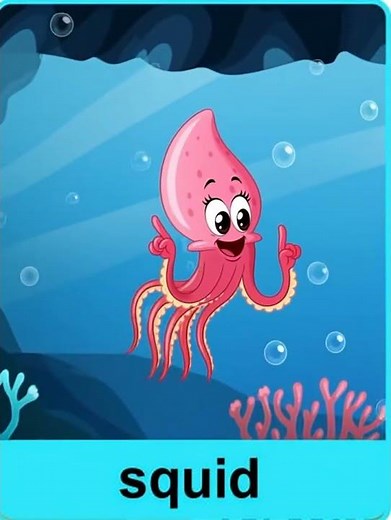 Learn About Squid for Kids 🦑 | Fun Ocean Animal Learning Video for Preschool & Kindergarten