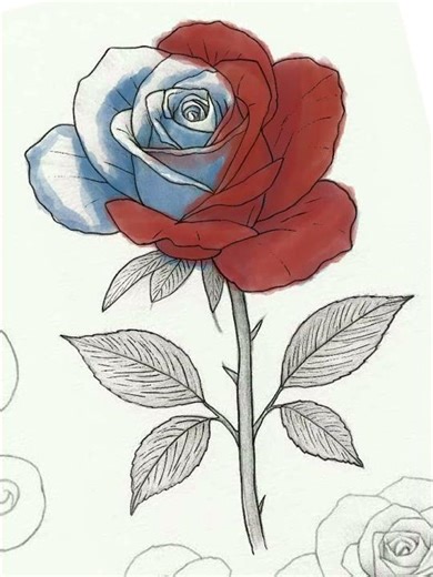 The RGB Rose experiment