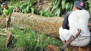 Crafting Premium Heavy Wood Boards for Stunning Designs