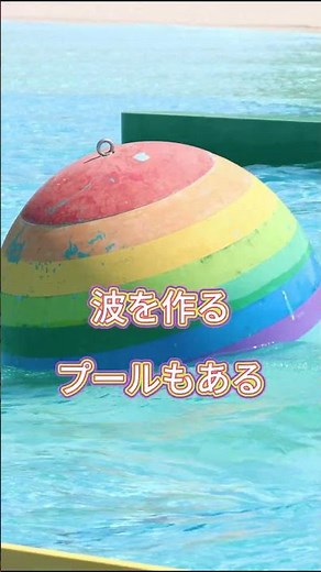 家族で楽しめる親水施設 ＼わたらせビーチをご紹介／#栃木県 #足利市 #足利 #ウォーターパーク