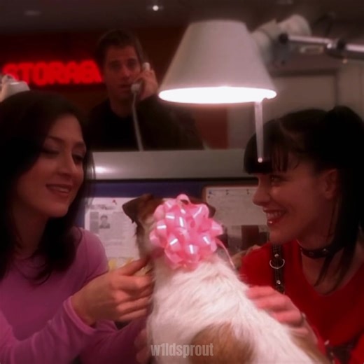 The Ultimate Kabby Scenepack: @Georgia ୨୧