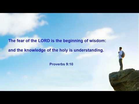 Visdom och dårskap - Del 1 (likheten mellan Sovjetunionen och Q-rörelsen)