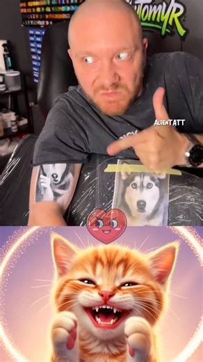 Are cats afraid of wolves? #cat #memes