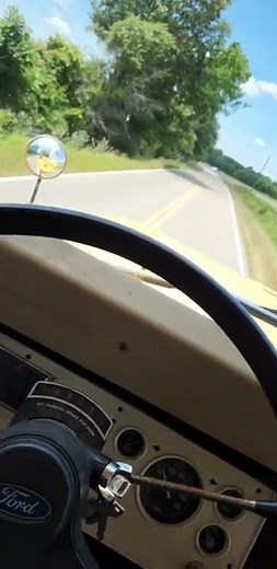 1993 Blue Bird Ford Drive