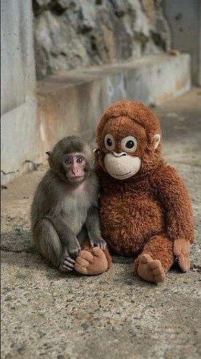 Adorable Baby Bear Cuddle Alert! 🚨🐻