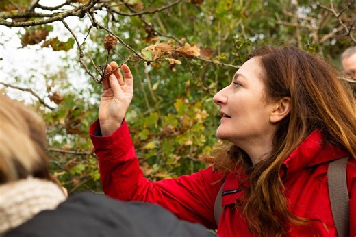 Shropshire residents asked to log early spring sightings as UK warms up