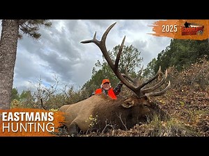 Elk Hunt Adventure in Southern Colorado | Eastmans Hunting TV