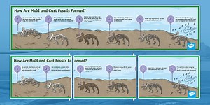 How Mold and Cast Fossils Are Formed Display Poster