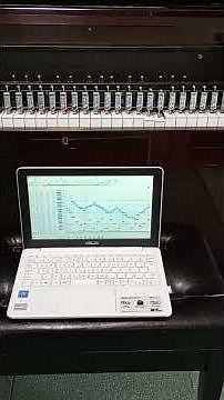 自動ピアノ 街角ピアノ オルゴールで演奏 舞踏への勧誘 Street Corner Piano Automatic Piano Invitation To The Dance