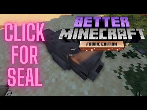 Better Minecraft pt1 | What is a shaman man