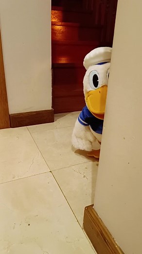 San Pito Pato: Especial Halloween con Parodias