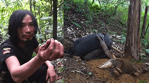 61K views · 2.5K reactions | Catch and cook - Rainforest Survival...