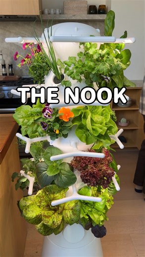Nick Cutsumpas on Instagram: "Can’t believe they have it at Costco 🤯🥬 With all of the new reports of new forever chemicals and pesticides being allowed in our food system, I wanted to double down on our indoor growing system. I’ve been growing indoors with Lettuce Grow for six years now, and when I found out they now have their Farmstand Nook at @costco, I had to go check it out 🛒 Ive been wanting to try out the Nook for a while because it has a smaller profile and reservoir compared to the o