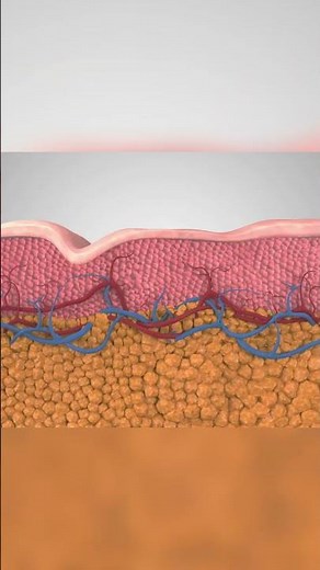 HIFU Treatment: The Secret to Younger, Tighter Skin! (Non-Surgical Facelift)