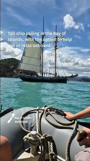 7 unique boat experiences in New Zealand