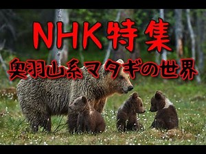 "The World of the Matagi Hunters of the Ou Mountains"