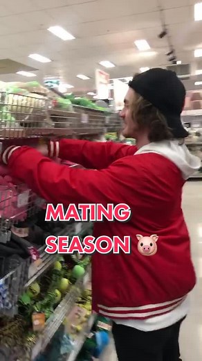 Mating Season in the Pig Pen! Funny Pig and Donkey Mating Video