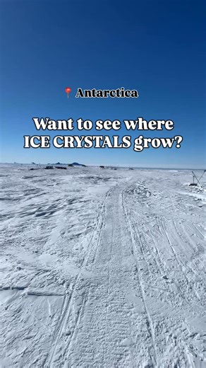 Martin on Instagram: "Ice crystals, also know as hoarfrost, are magical looking ice formations that grow in very specific conditions. To form, they need a special combination of low wind, low temperatures, and some minor humidity. They’re often found in caves, crevasses, and nooks ‘n crannies. And at our camp in Antarctica, they’re everywhere in our trench, where we store our ice cores as they await pickup. I love how they look, and sound! So please enjoy this no-music ice crystal video, and let