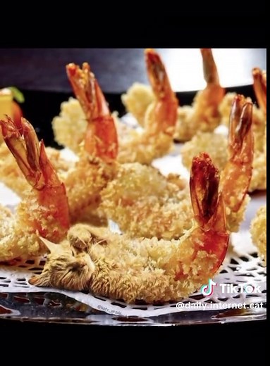 Discover the Funniest Cat Memes on TikTok