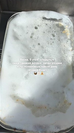How to remove carbon deposits from dishes 🫧👇🏻Article vb on cleaner #WW116552 (copy from WW) #spri...