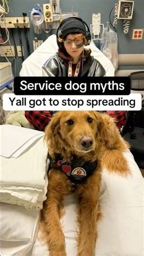 Service dog myths I’m tired of being spread.