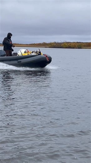83K views · 768 reactions | A Pro-Jet 380 loaded with a bull moose, camp, gear , and 20 gallons of fuel ripping along at a good speed!! | Stone River Jet Boats | Facebook