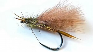 1.1K views · 68 reactions | CDC Stonefly - Dry Fly. Full video https://youtu.be/irAtbF9jXNQ?si=ZnJBBWD-YicA59SJ @kindale_fly_fishing #flytying #flyfishing #fliesforsale #stonefly #dryfly #shotaflies #Bestfly #flytyingtutorial #flytyingcommunity #flyfishingnation #flytyingjunkie #flyfishingcommunity #flyfishingaddict #flyfishingjunkie #FlyFishingLife #howtotie #flytyingtutorial | Shota Jokhadze | Facebook