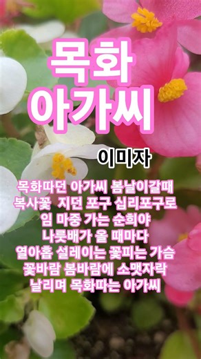 목화 아가씨 #이미자#남진#트로트#1972남진ㆍ최고인기애창곡