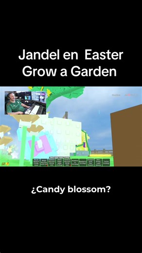 How to Grow a Garden: A Beginner's Guide