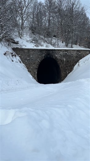 Die Dampflok der Harzer Schmalspurbahn kämpft sich zum Brocken hoch… Was ein Mega Erlebnis mit @marcelwestfoto @harzer_schmalspurbahnen_hsb #harzerschmalspurbahn #harzmountains #harz #harzlandschaft #dampflok | Andreas Muckelmann