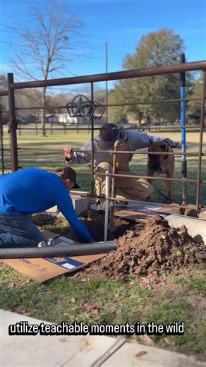 All Dogs Training Co. | Dog Training Texas on Instagram: "Guardian breeds are genetically predisposed to suspicion, so building confidence, trust, and neutrality is super important. Raina is pretty unsure around new things in the environment and a bit spooky, which escalates into barking and reactivity. Typical #guardianbreed behavior from a young Presa Canario. A pipe burst at the kennel in the winter storm, of course🙄 So when the plumber came out Matt used it as a great teachable moment for R