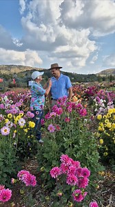 See you all tomorrow at Malanseuns Festival! | Tanya Visser