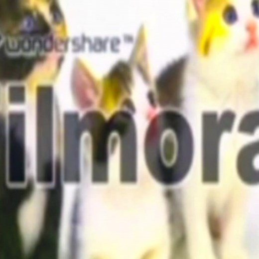 Baby Einstein Mozart 2008