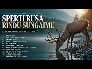 Instrumental Rohani Kristen untuk Saat Teduh, Doa dan Ketenangan | VOLUME 4