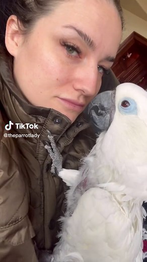 Funny Cockatoo Bloopers - Hilarious Parrot Shenanigans