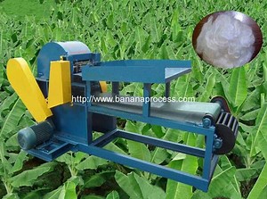 Machine automatique d’extraction de fibre de tige de banane | Plantain Banana Processing Machine Manufacturer and Supplier
