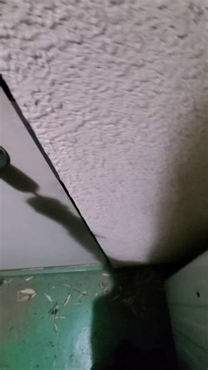 複数人でゲームを作るといなくなる。橙々さんが証明してる